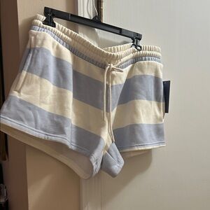 Universal Thread Blue and Cream Striped Athletic Shorts